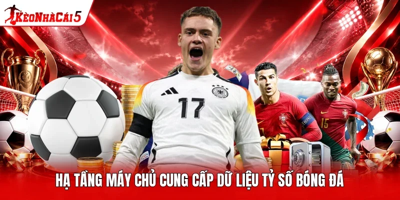 Hạ tầng máy chủ cung cấp dữ liệu tỷ số bóng đá