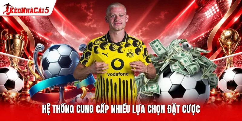 Hệ thống cung cấp nhiều lựa chọn đặt cược