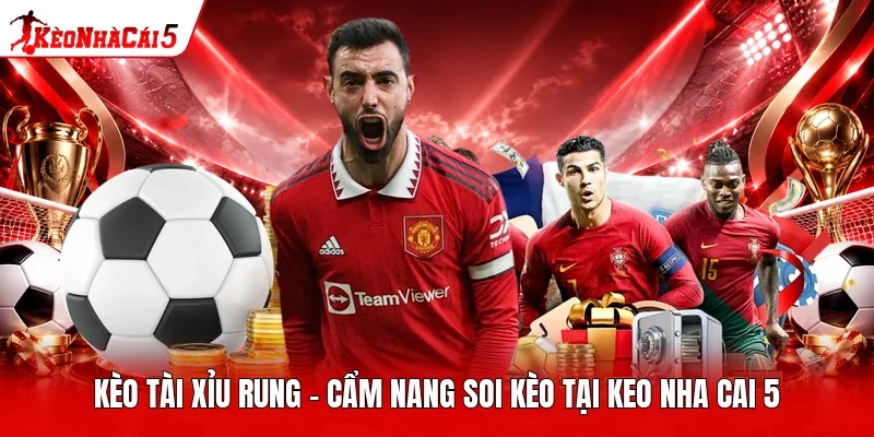 Kèo Tài Xỉu Rung - Cẩm Nang Soi Kèo Tại Keo Nha Cai 5