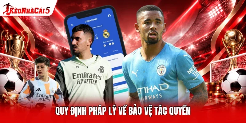Quy định pháp lý về bảo vệ tác quyền